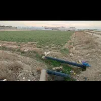 زمین کشاورزی با مجوز گلخانه|فروش زمین و ملک کلنگی|پاکدشت, پاکدشت (مامازند)|دیوار