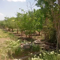 فروش-باغ-ویلا-در-دماوند-سند-شش-دانگ