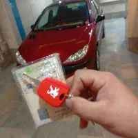 پژو 206عتیقه و کلکسیونی تک برگ آینه