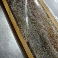 عسل طبیعی|خوردنی و آشامیدنی|رشت, منظریه|دیوار