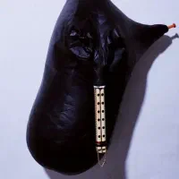 نی انبان نو با نی تکی