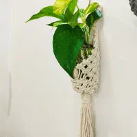 گلدان دیوار و انواع دیوارکوب|صنایع دستی و سایر لوازم تزئینی|تهران, مسعودیه|دیوار