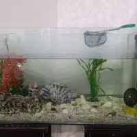 اکواریوبا لوازم سالم