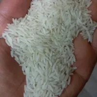 برنج پاکستانی خوشپخت قیمت عمده