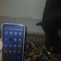 به گوشی redmi m11 در حد نوع|موبایل|تهران, بریانک|دیوار