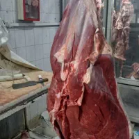 گوشت گوساله . ران و دست گوساله|عمده‌فروشی|شیراز, سیاه سنگ|دیوار