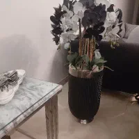 اپارتمان