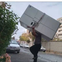 باربری ونک بهمراه ۵کارگر مجرب