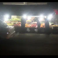 نیروی کار خانم