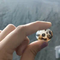 پلاک ودستبندسنگی|جواهرات|زابل, |دیوار