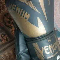 دستکش بوکس|تجهیزات ورزشی|تربتحیدریه, آبشار|دیوار