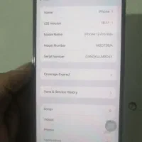 آیفون 12 پرومکس|موبایل|زرند, |دیوار