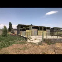 فروش یک واحد گاوداری با امکانات کامل|فروش دفتر صنعتی، کشاورزی، تجاری|هریس, |دیوار