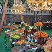 فینگر فود|خدمات پذیرایی، مراسم|مشهد, رضاشهر|دیوار