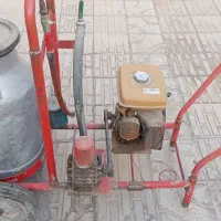 شیر دوش گاو