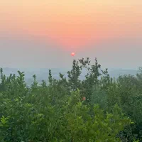 نیازمند کارگر جهت باغ