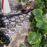 گل مصنویی درحدنو به علت اضافه بودن|گل مصنوعی|ایرانشهر, |دیوار