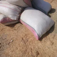 کاه لوبیا|لوازم جانبی حیوانات|کهنوج, |دیوار