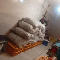 فروش عمده و تکی|فعالیت داوطلبانه|نورآباد, |دیوار