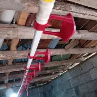 اب خوری. دان خوری|لوازم جانبی حیوانات|بانه, |دیوار