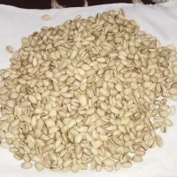 پسته فندوقی بادامی|عمده‌فروشی|مشهد, امام رضا (ع)|دیوار