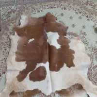 فرش و گیلیم و پوست گاو|فرش|اصفهان, آزادان|دیوار