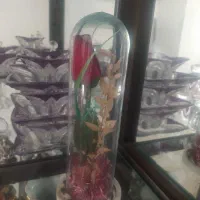 5 عدد گل های زیبا و رنگارنگ|گل مصنوعی|قزوین, |دیوار