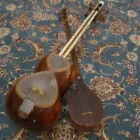 آموزش خصوصی و تضمینی تار و سه‌تار|خدمات آموزشی|تهران, قلهک|دیوار