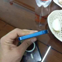 آیفون ۱۲|موبایل|کرج, جهان‌شهر|دیوار