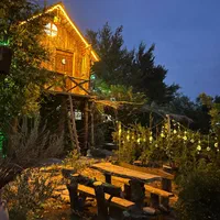 خانه درختی با جکوزی رویایی