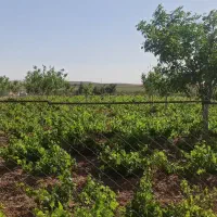 فروش یا معاوضه با زمین یا واحد در همدان