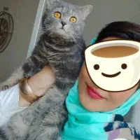 گربه بسیار زیبا مودب و همه چیزتمام