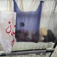 دار قالی بافی|تابلو فرش|محمدیه-قزوین, |دیوار