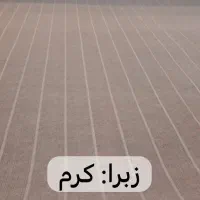 موکت اقتصادی صبا|موکت|پارسآباد, |دیوار