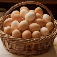 تخم مرغ محلی تازه وارگانیک