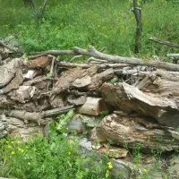 چوب ضایعاتی والوار توت ۳۰۰ساله|حراج|موچش, |دیوار