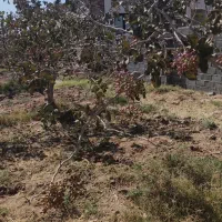 فروش باغ|فروش خانه و ویلا|خوسف, |دیوار