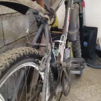 دوچرخه فروش فوری|دوچرخه، اسکیت، اسکوتر|بابکان, |دیوار