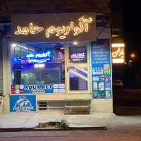 جذب یک همکار جوان  برای کار در فروشگاه آکواریوم