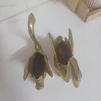 قو برنزی|مجسمه، تندیس، ماکت|بروجرد, |دیوار