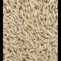 خریدار جو تسویه سر باسکول