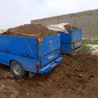کودحیوانی تضمینی