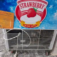 یخچال بستنی صندوقی|فروشگاه و مغازه|فردیس, مجموعه کارخانه جات مپنا|دیوار