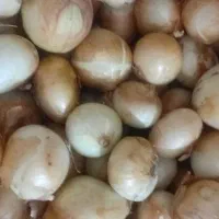 پیاز تمیز