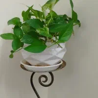 گلدان وگل طبیعی