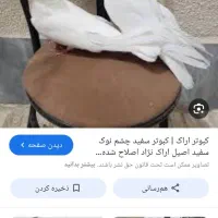 متن رو بخون