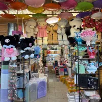 فروشنده ماهر خانم در بازار گل محلاتی