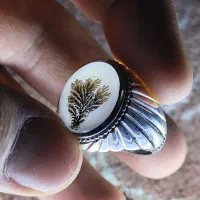 انگشترشجر تک درخت|کلکسیون اشیاء عتیقه|همدان, |دیوار