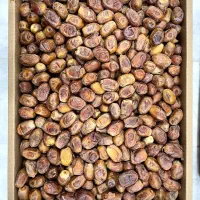 خرما زاهدی اعلا