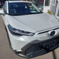 فراتلندر هیبریدی ۲۰۲۵ fratlander